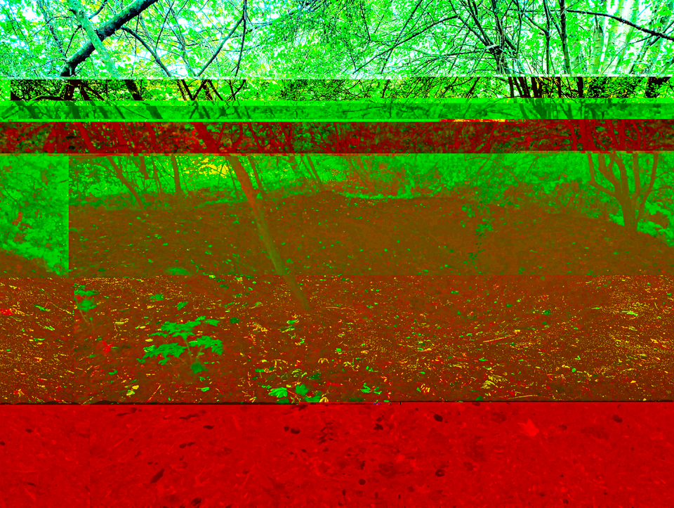 selestium modular post